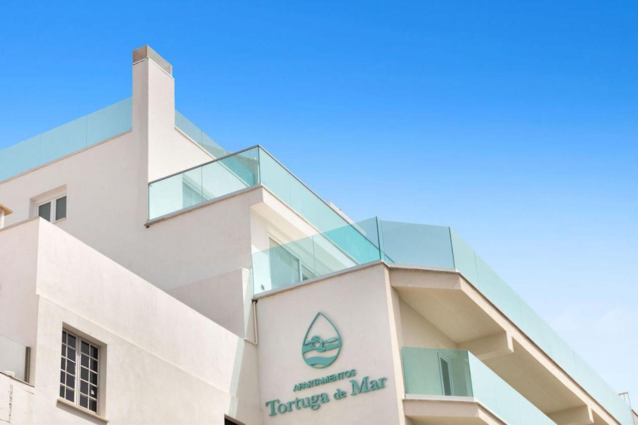Apartamentos Tortuga de Mar Palma de Maiorca Exterior foto